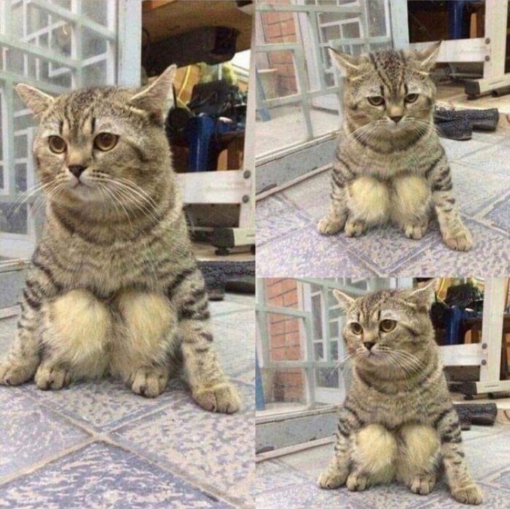 Meet your Posher, My